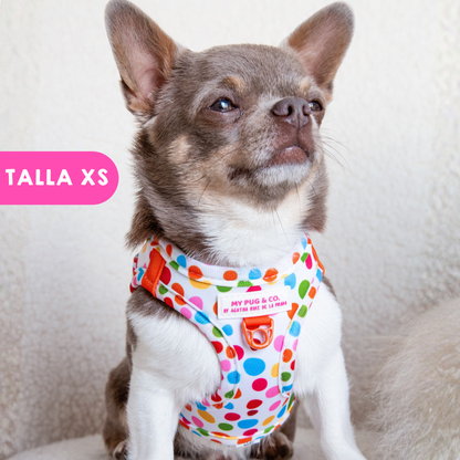 Step-in Hundegeschirr Punkteliebe von Agatha Ruiz de la Prada