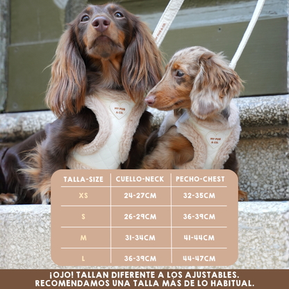 Arnés Body Teddy Luxe