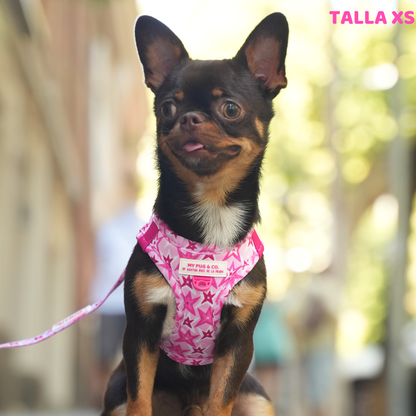 Step-in Hundegeschirr Farbenfrohe Blumen von Agatha Ruiz de la Prada