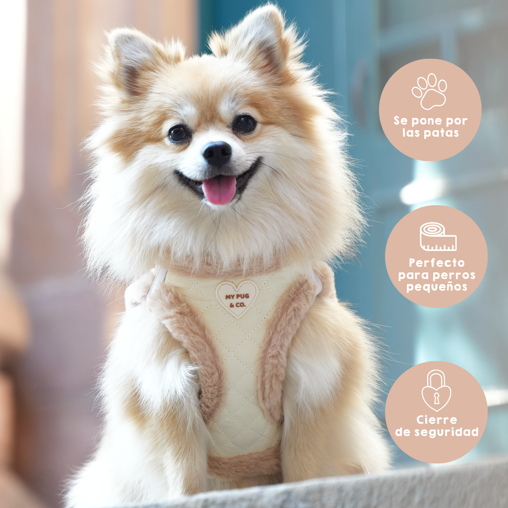 Arnés Body Teddy Luxe