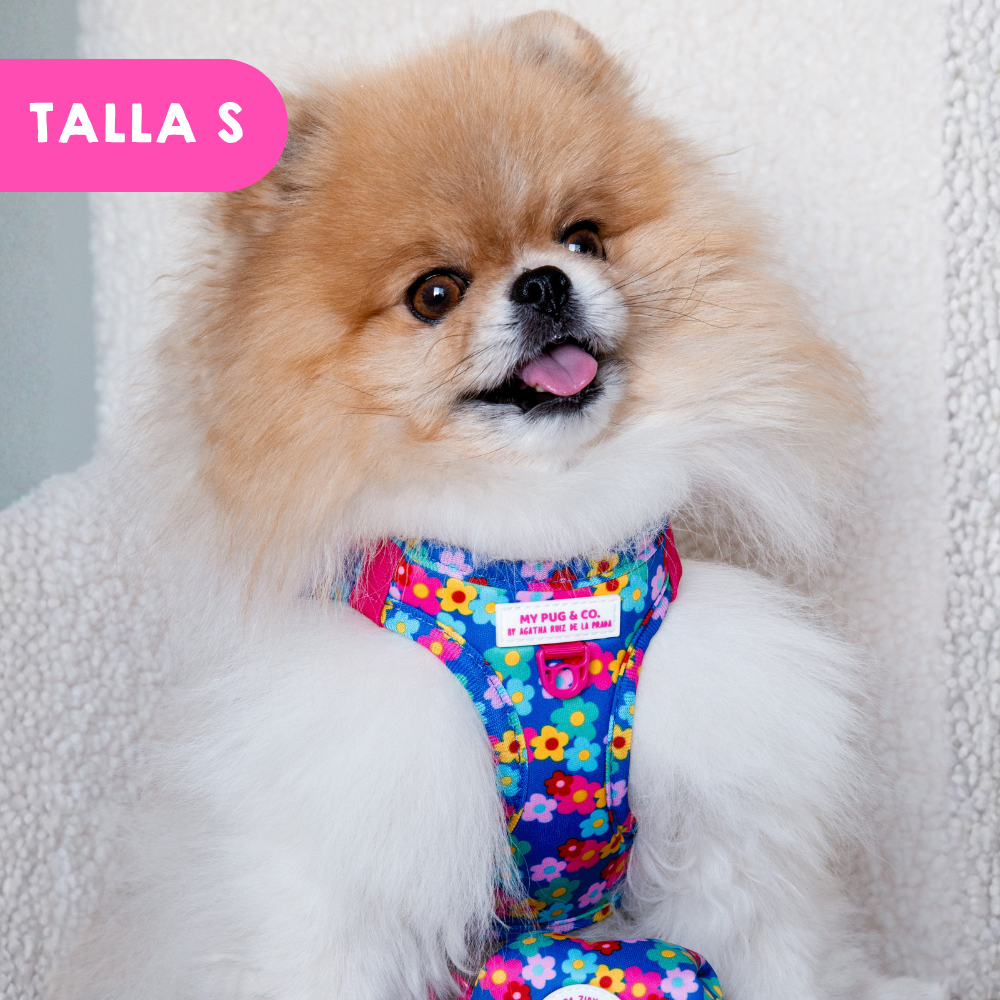 Step-in Hundegeschirr Farbenfrohe Blumen von Agatha Ruiz de la Prada