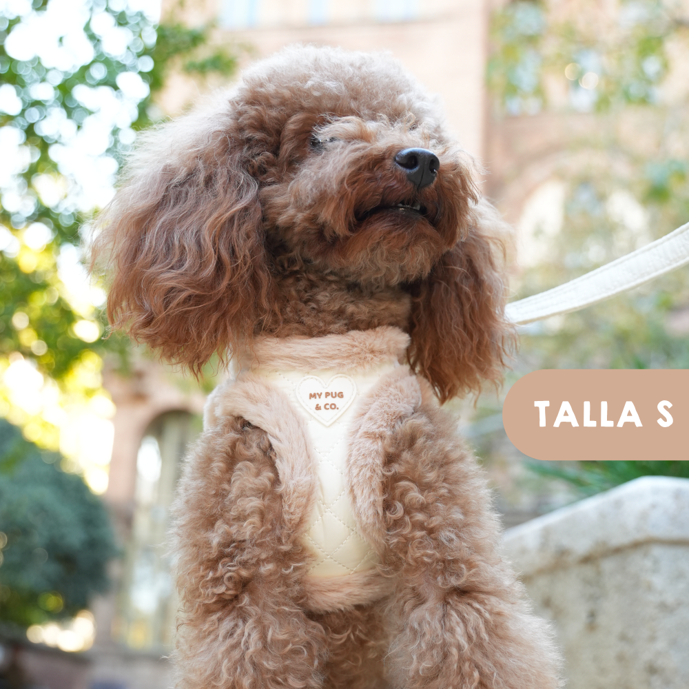 Arnés Body Teddy Luxe