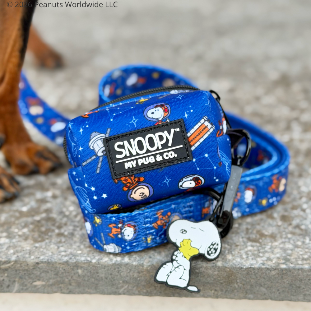 Space Bag Holder by Snoopy™️