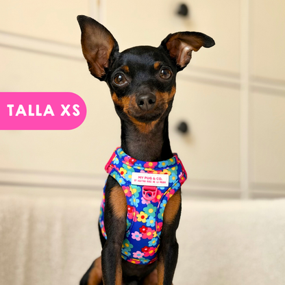 Step-in Hundegeschirr Farbenfrohe Blumen von Agatha Ruiz de la Prada