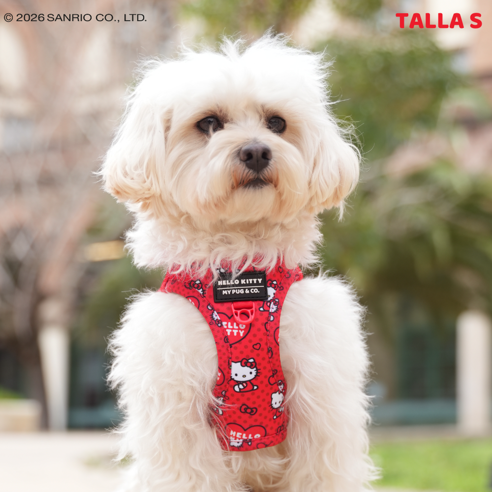 Arnés Body Hello Kitty Red