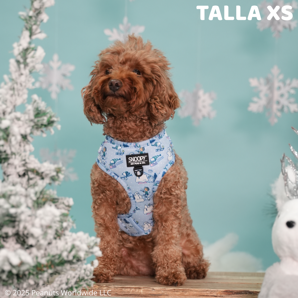 Arnés Ajustable Snoopy™️ Snow