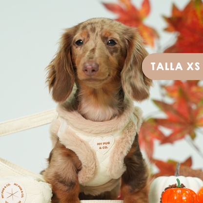 Arnés Body Teddy Luxe