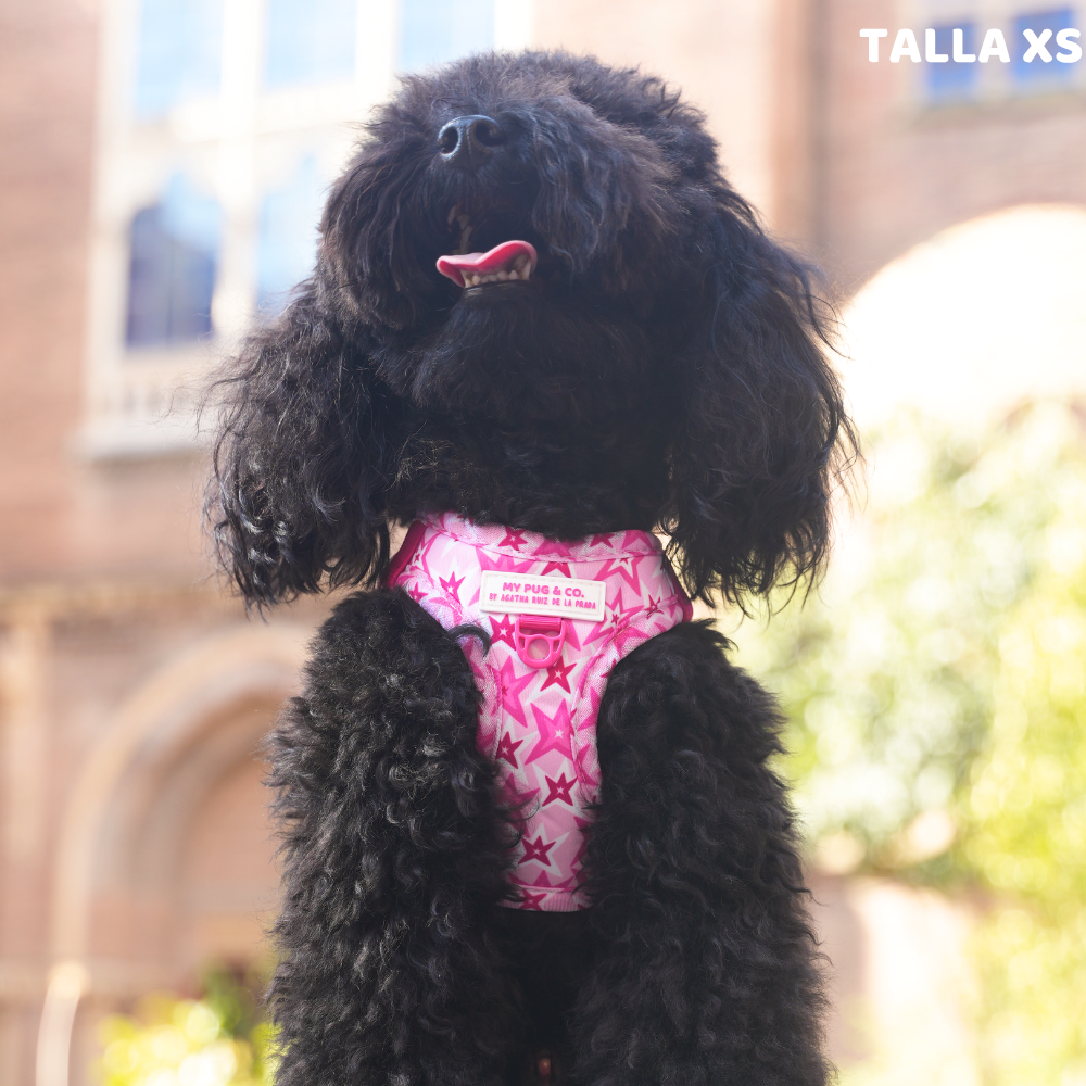 Step-in Hundegeschirr Farbenfrohe Blumen von Agatha Ruiz de la Prada