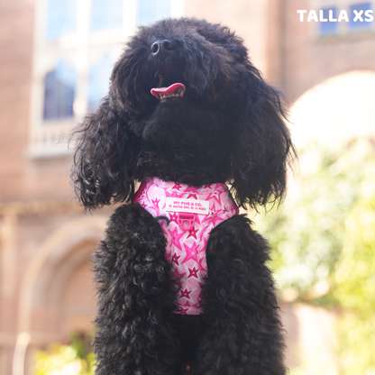 Step-in Hundegeschirr Farbenfrohe Blumen von Agatha Ruiz de la Prada