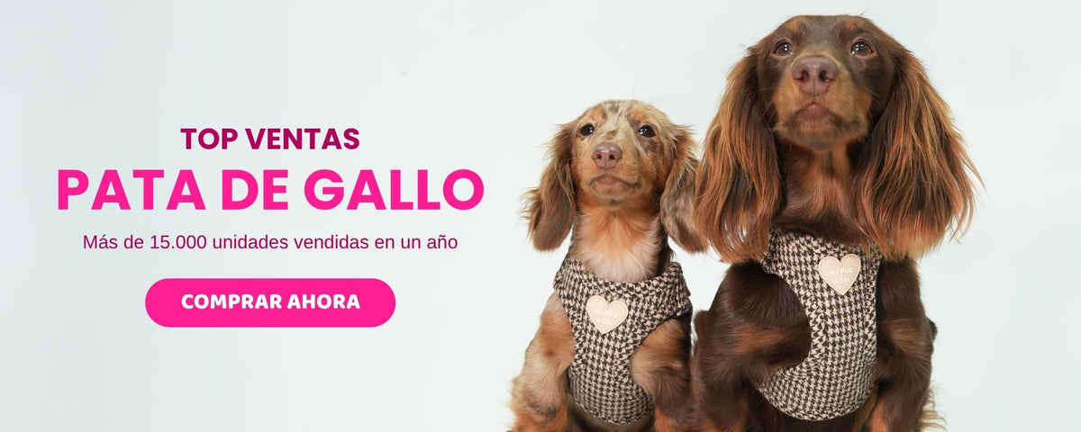 Colección Cinnamoroll y Kuromi de My Pug & Co: caniche y teckel con arneses oficiales