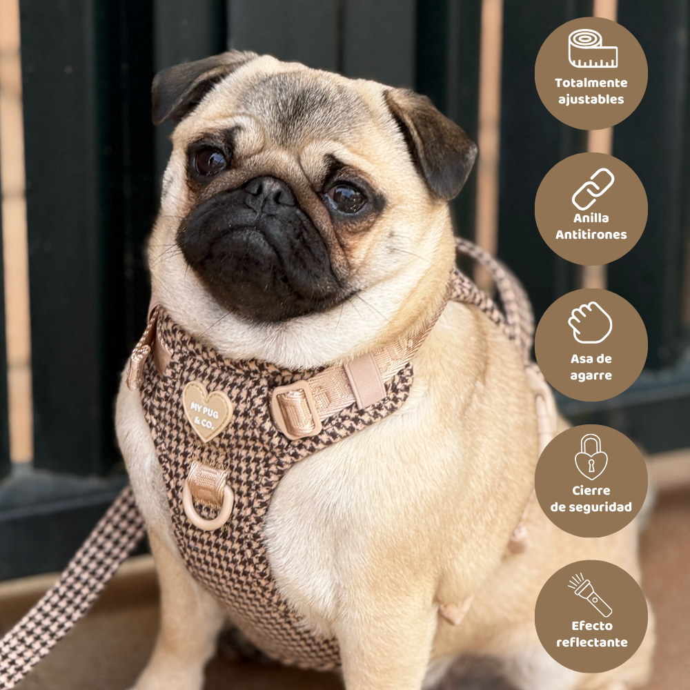 Arnés Todoterreno Pata de Gallo