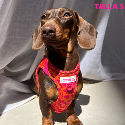 Herz-Körpergeschirr von Agatha Ruiz de la Prada