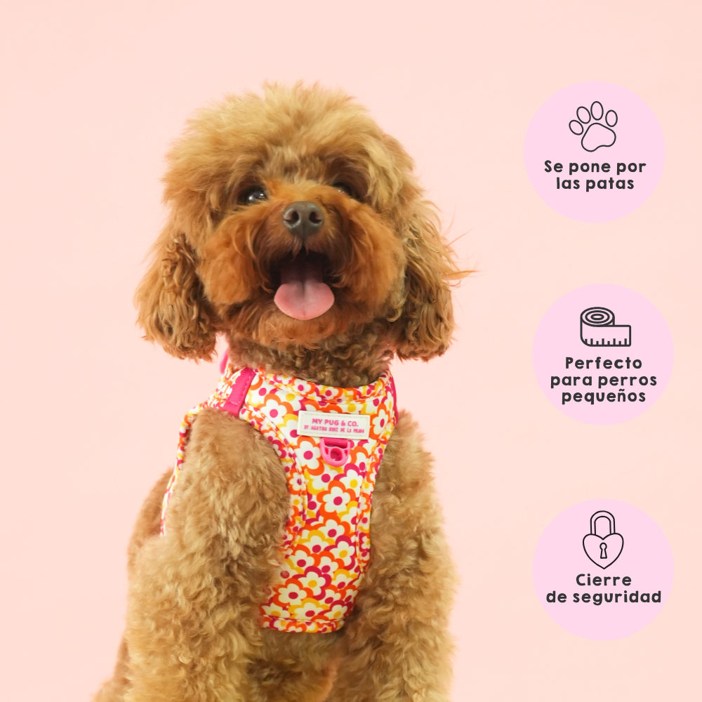 Arnés Body Flores Pop by Agatha Ruiz de la Prada