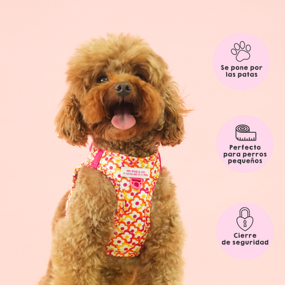 Arnés Body Flores Pop by Agatha Ruiz de la Prada