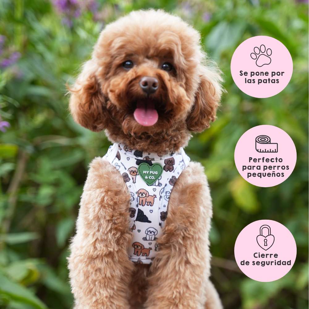 Pack Arnés Body Poodle