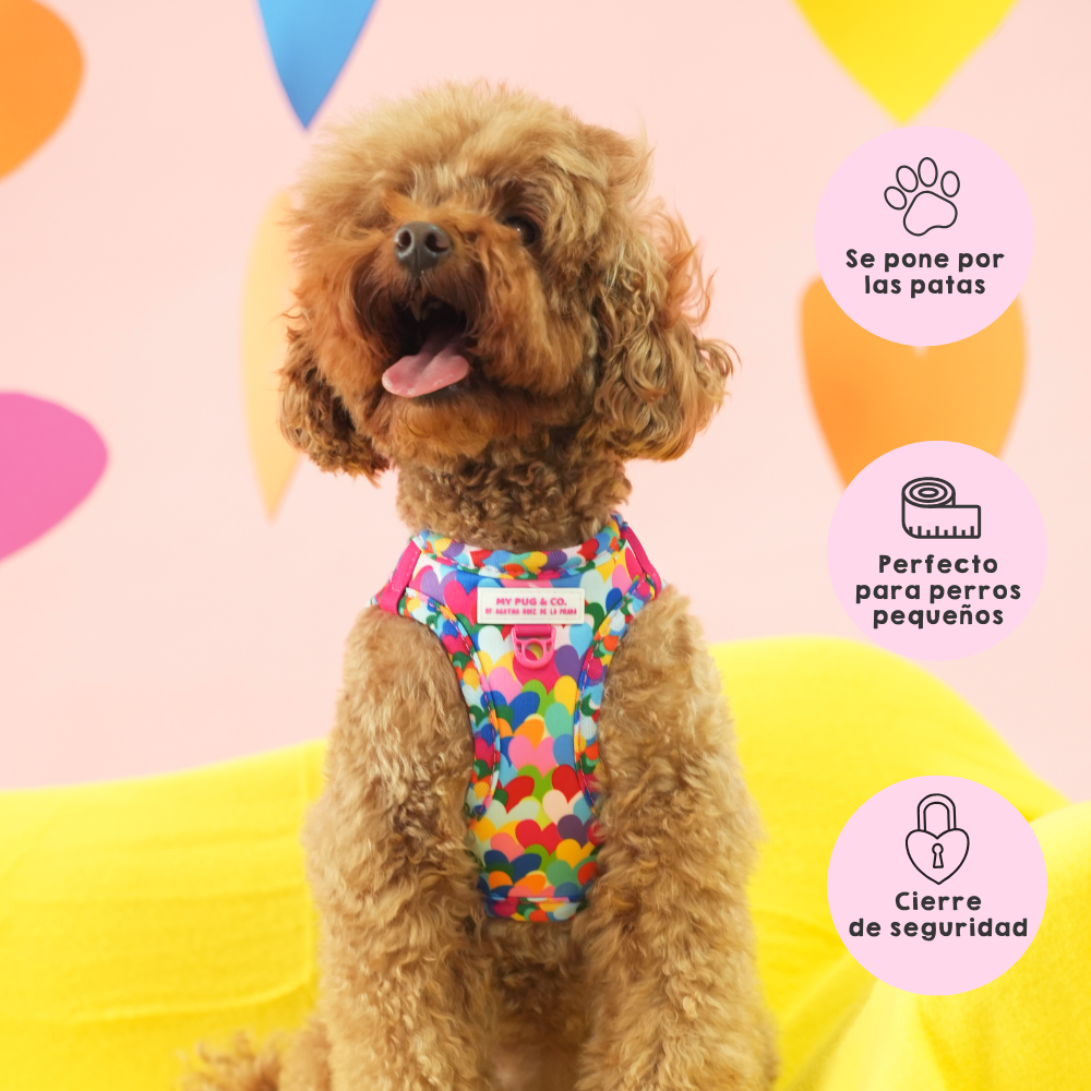 Arnés Body Corazones Pop by Agatha Ruiz de la Prada