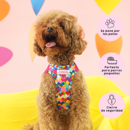 Arnés Body Corazones Pop by Agatha Ruiz de la Prada