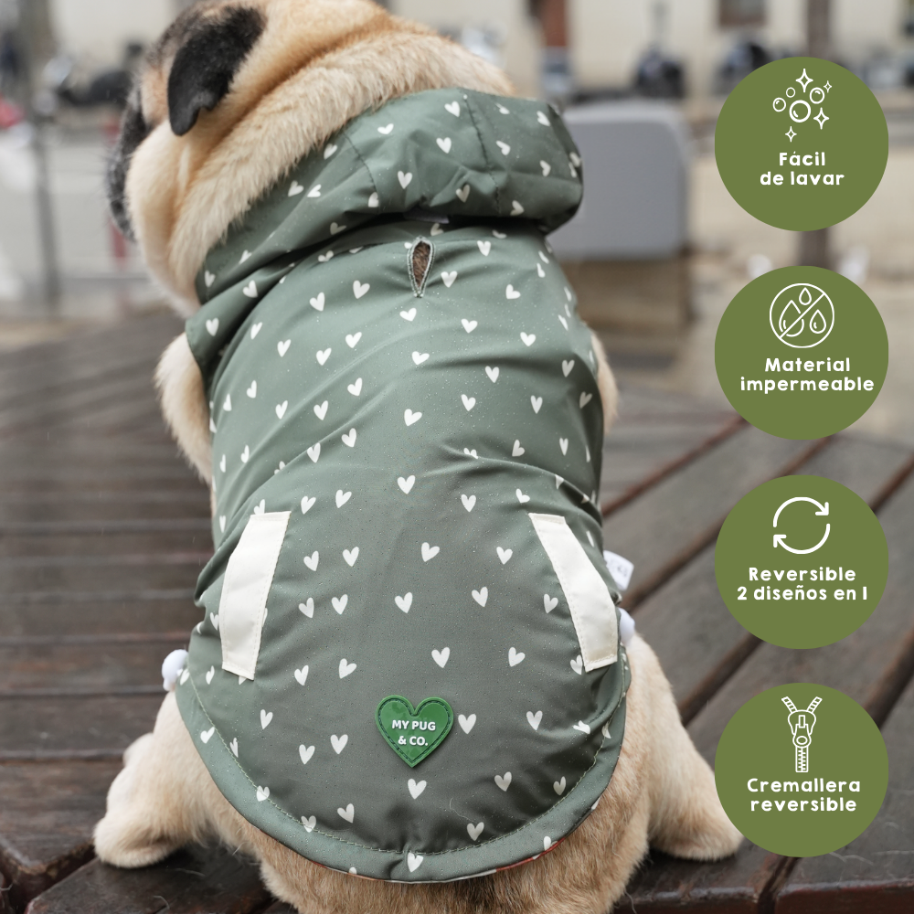 Chubasquero Autumn Picnic