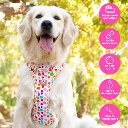 Trail-Hundegeschirr Punkteliebe von Agatha Ruiz de la Prada