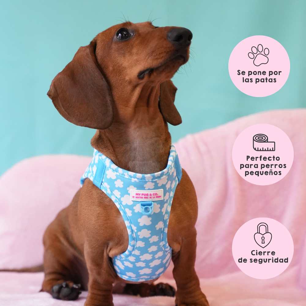Arnés Con Vestido De Encaje Para Perros Pequeños - Diseño Floral, Cómodo Y Seguro, Ideal Para Paseos O Fotos