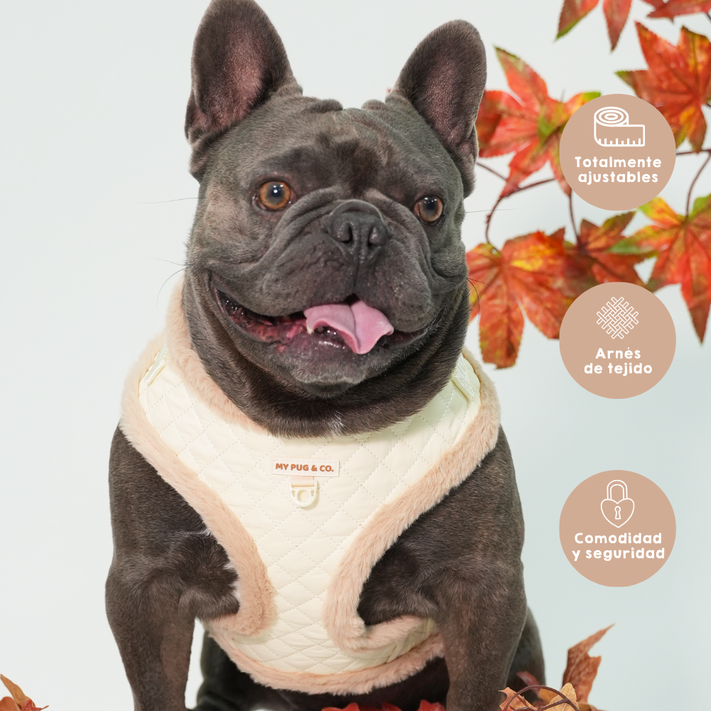 Arnés Ajustable Teddy Luxe