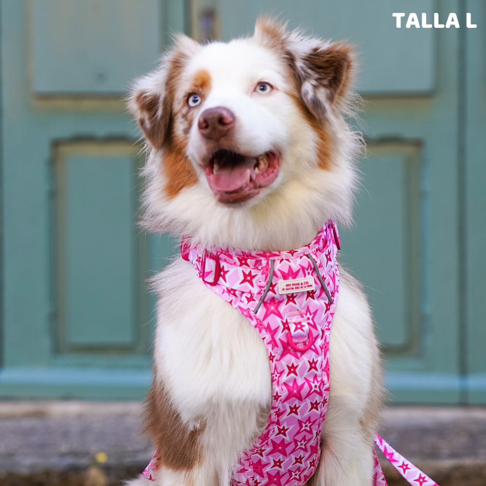 Trail-Hundegeschirr Farbenfrohe Blumen von Agatha Ruiz de la Prada