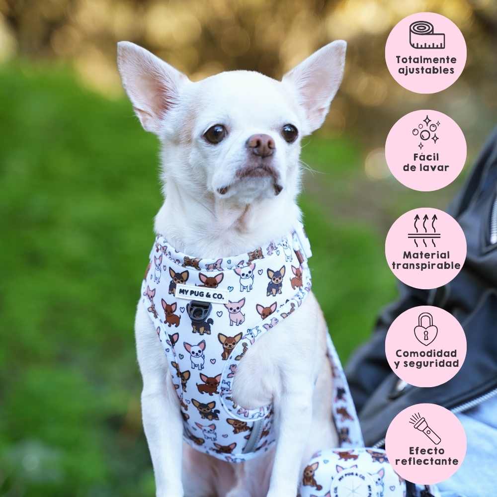 Cachorros Correas Para Chiguaguas Collar De Chihuahua