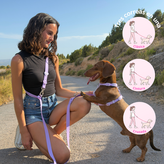 Handsfree Waterproof Leash - Purple