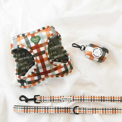 Pack Arnés Body Autumn Picnic