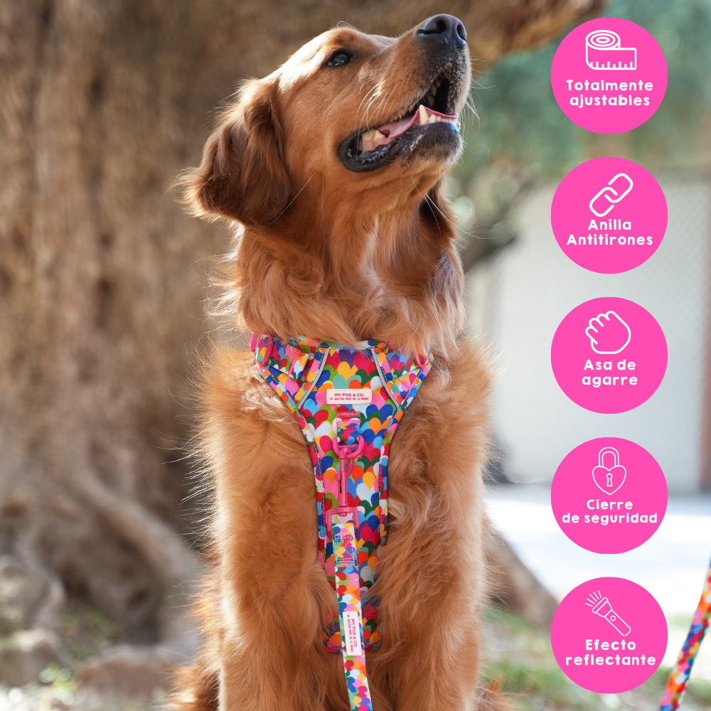 Hearts Trail Harness by Agatha Ruiz de la Prada