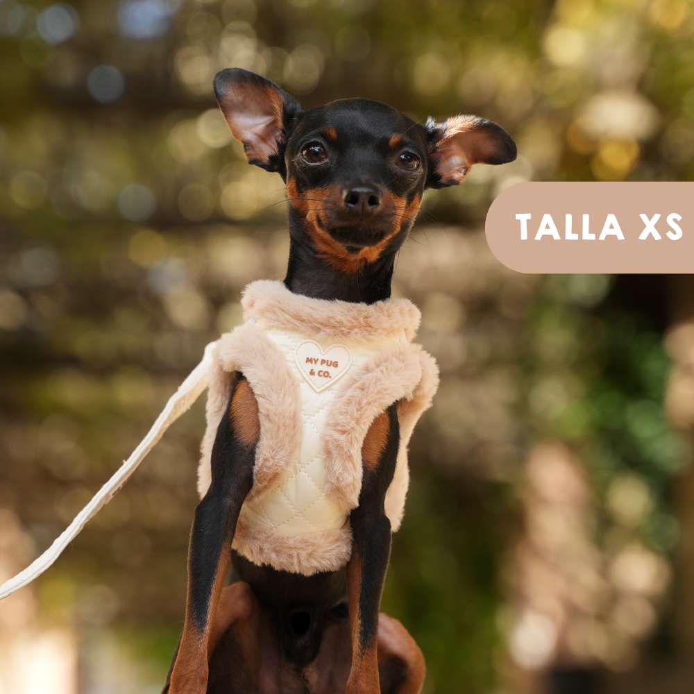 Arnés Body Teddy Luxe