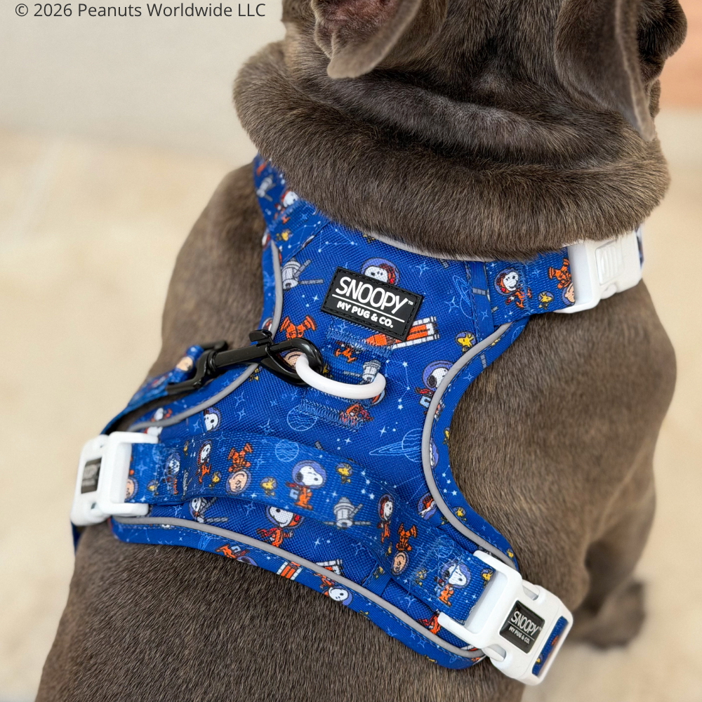 Space Trail Harness by Snoopy™️