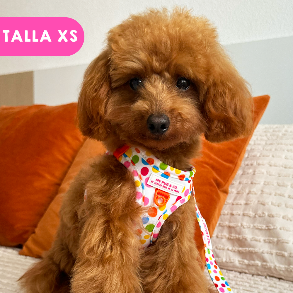 Step-in Hundegeschirr Punkteliebe von Agatha Ruiz de la Prada