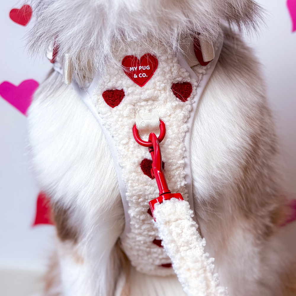 All-Terrain-Gurt Herz