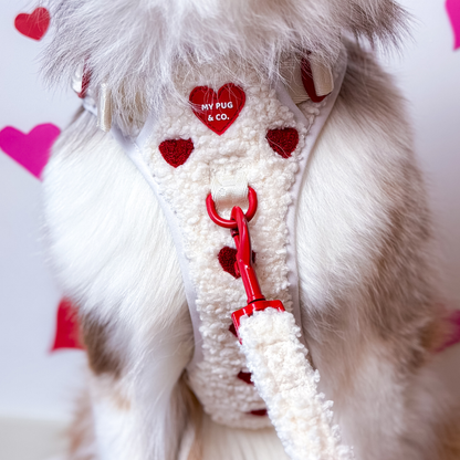 All-Terrain-Gurt Herz