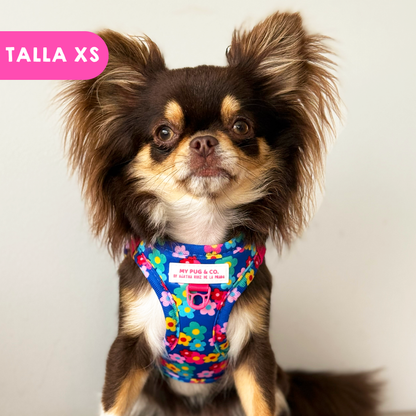 Step-in Hundegeschirr Farbenfrohe Blumen von Agatha Ruiz de la Prada