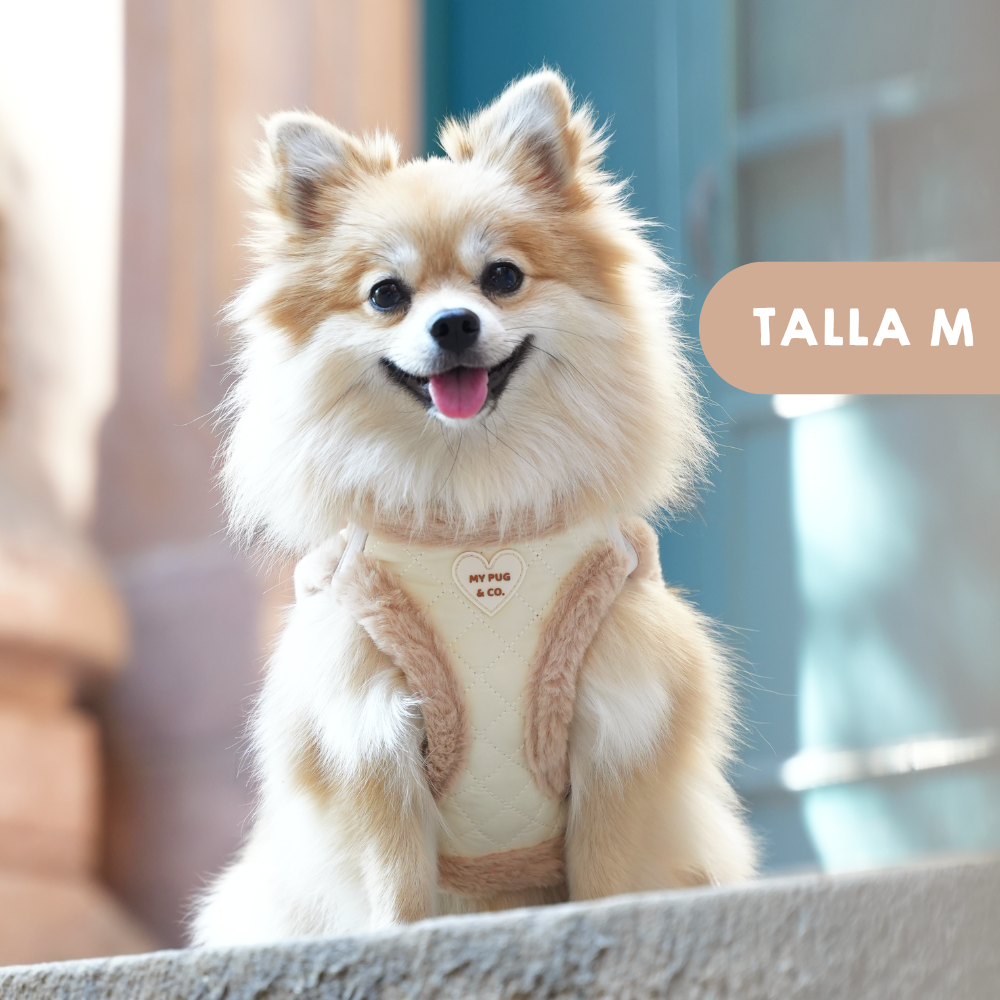 Arnés Body Teddy Luxe