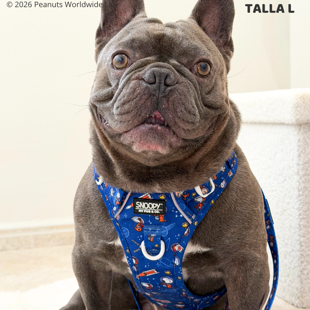 Space Trail Harness by Snoopy™️
