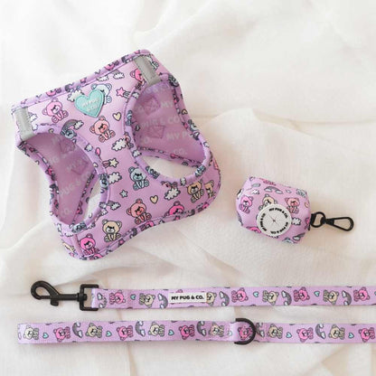 Pack Arnés Body Teddy Bears