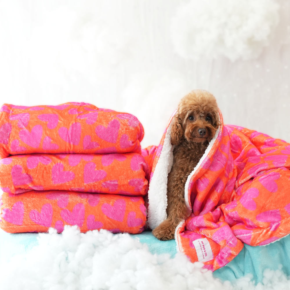 Hearts Blanket by Agatha Ruiz de la Prada