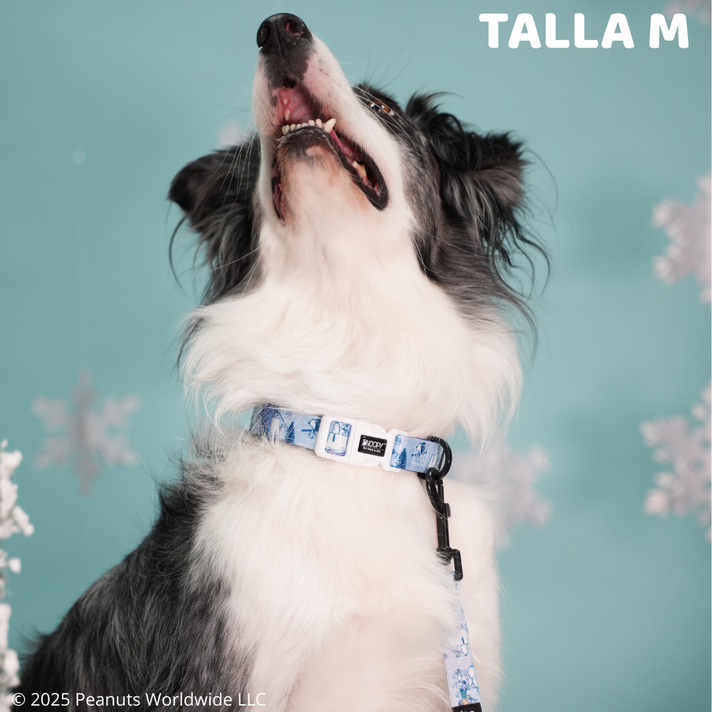 Collar Snoopy™️ Snow