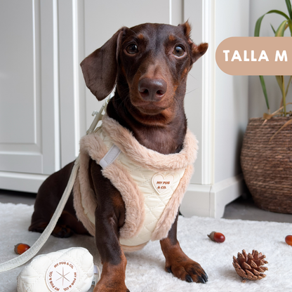 Arnés Body Teddy Luxe