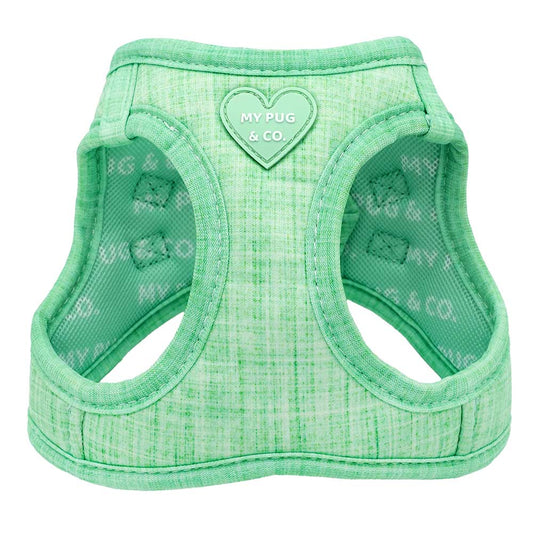 Arnés Body Verde Matcha