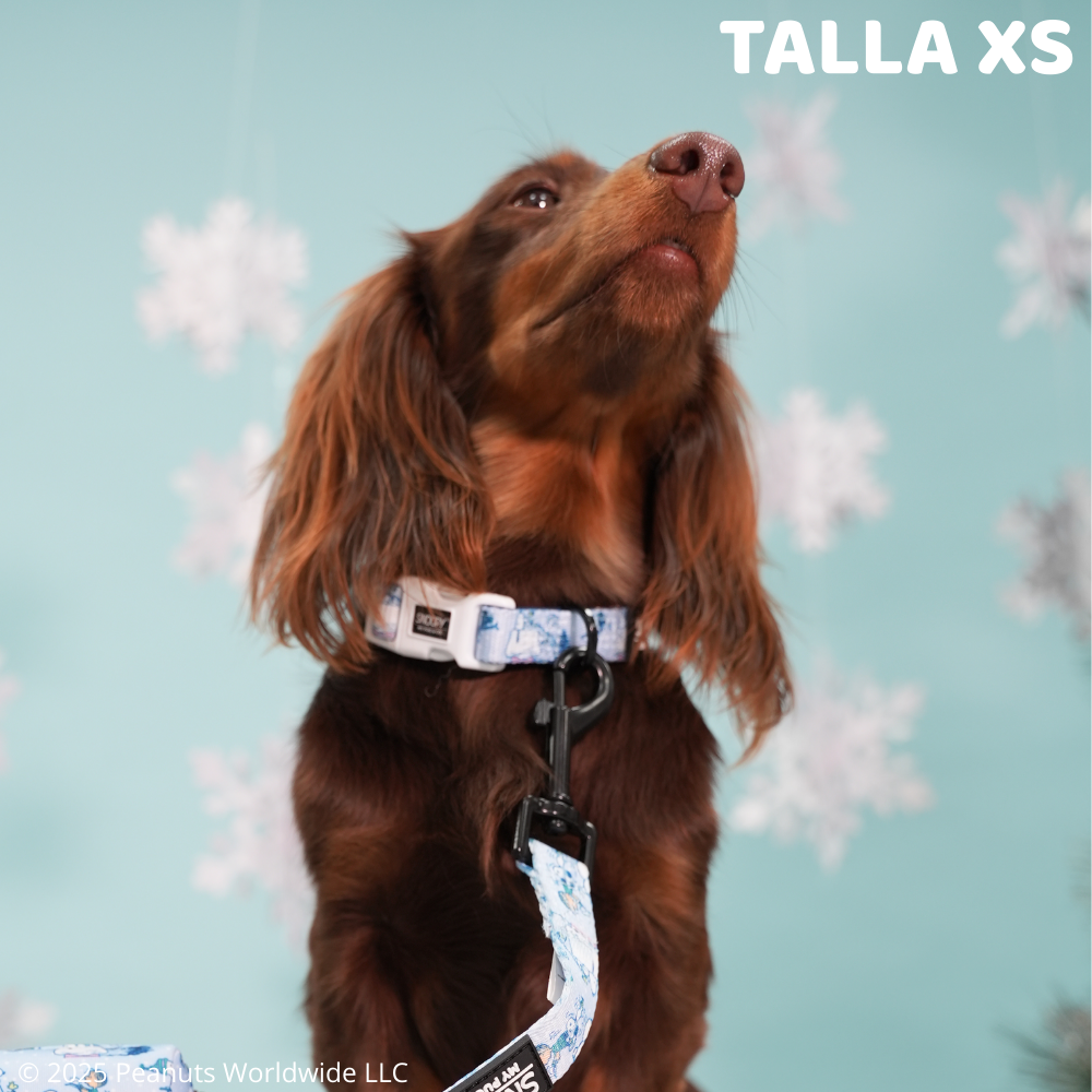 Collar Snoopy™️ Snow