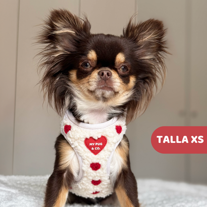 Herz-Körpergeschirr