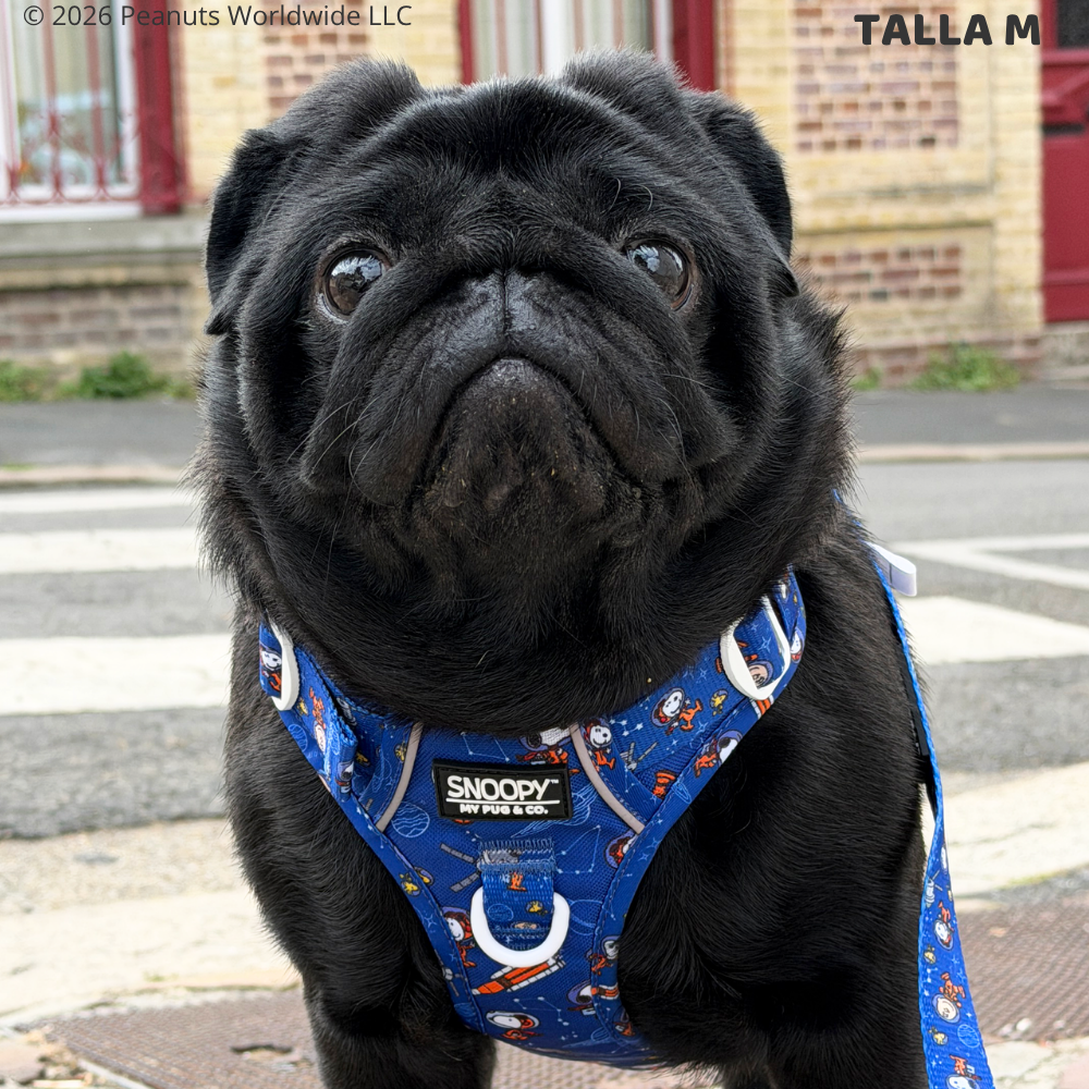 Space Trail Harness by Snoopy™️
