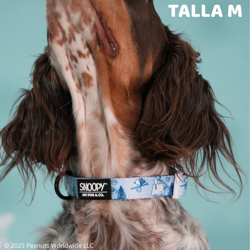 Collar Snoopy™️ Snow