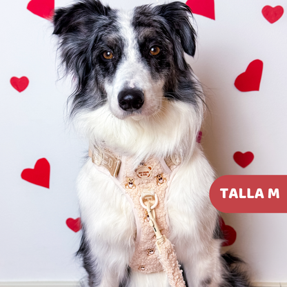 Teddy Offroad-Geschirr