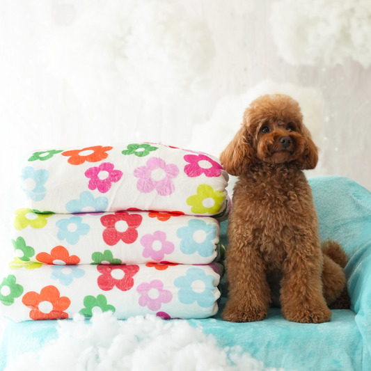 Flores Blanket by Agatha Ruiz de la Prada