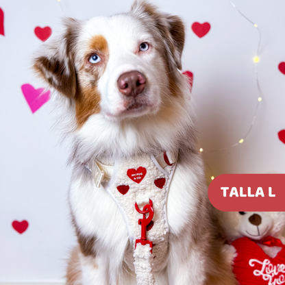 All-Terrain-Gurt Herz